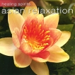 Asian Relaxation Серия: Healing Spirits инфо 1905s.